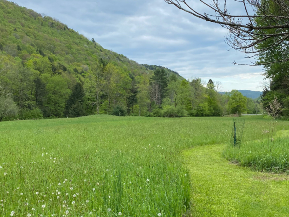 The Perfect Vacation Property