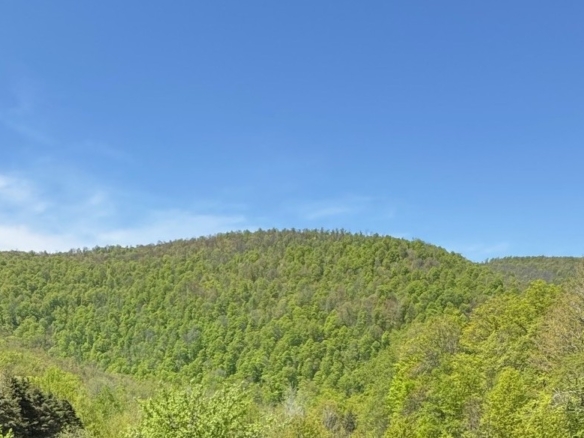 150 ACRES w/ year round stream